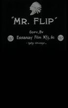 Mr. Flip