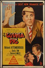 The Guinea Pig