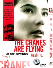 The Cranes are Flying