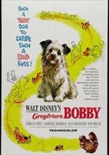 Greyfriars Bobby: The True Story of a Dog