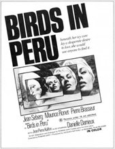 Birds in Peru