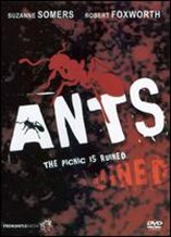 Ants!