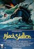 The Black Stallion (1979)