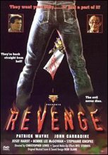Revenge: Blood Cult 2