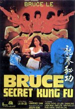 Bruce's Secret Kung Fu