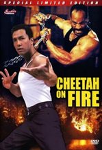 Cheetah On Fire