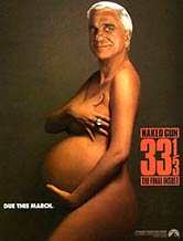 The Naked Gun 33 1/3: The Final Insult