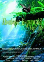Bugs! A Rainforest Adventure