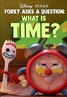 Forky Asks a Question: What is Time?