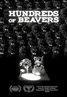 Hundreds of Beavers