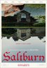 Saltburn